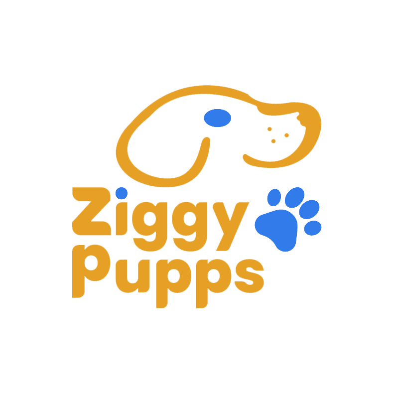 Ziggy Pupps